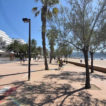 Rnet - Rhc 2101 Center * Roses